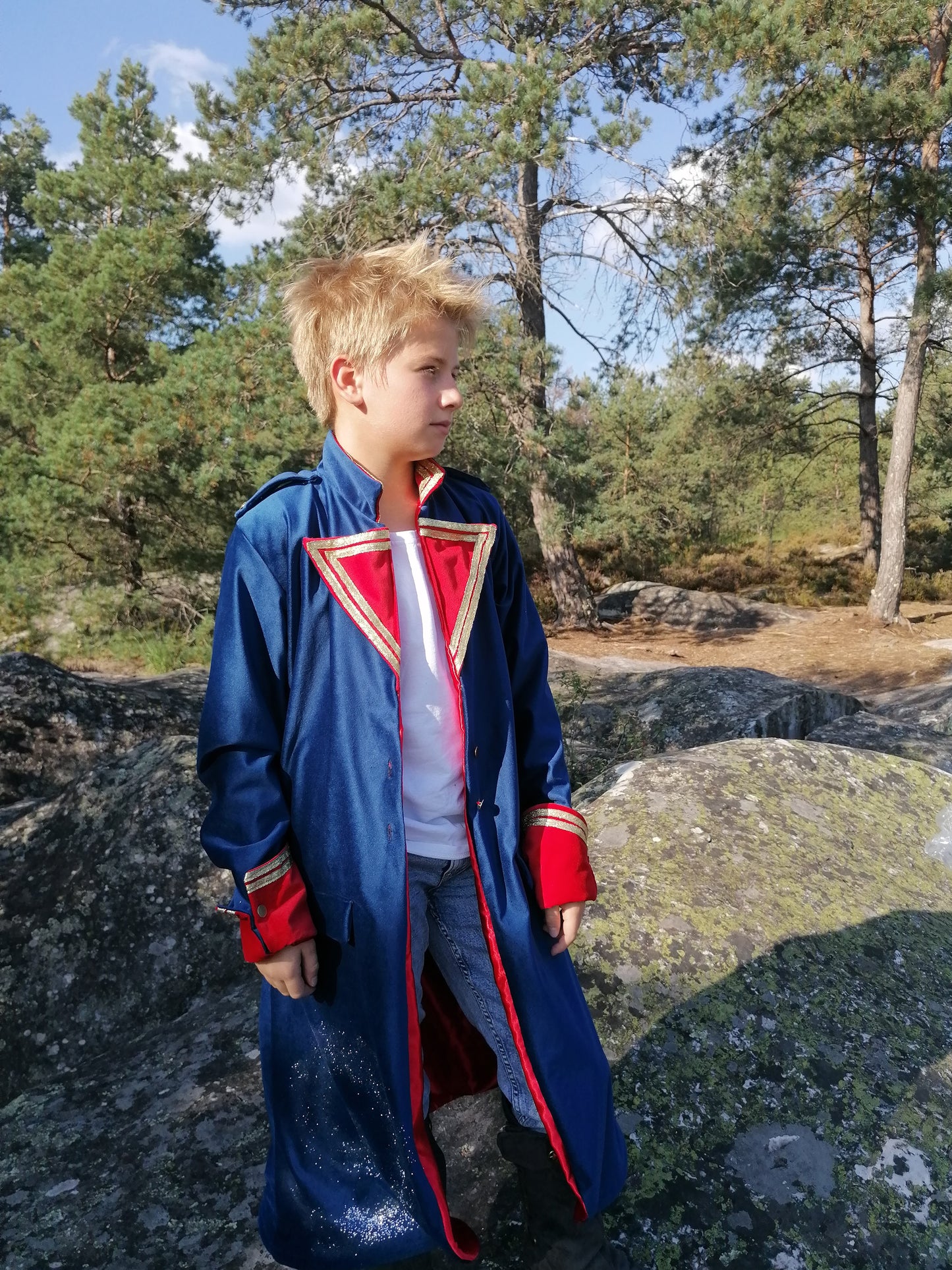 Manteau Petit Prince Saint-Exupéry – Velours Bleu et Rouge, Satin Rouge, Boutons Étoiles – Costume Cosplay, Déguisement Enfant ou Adulte